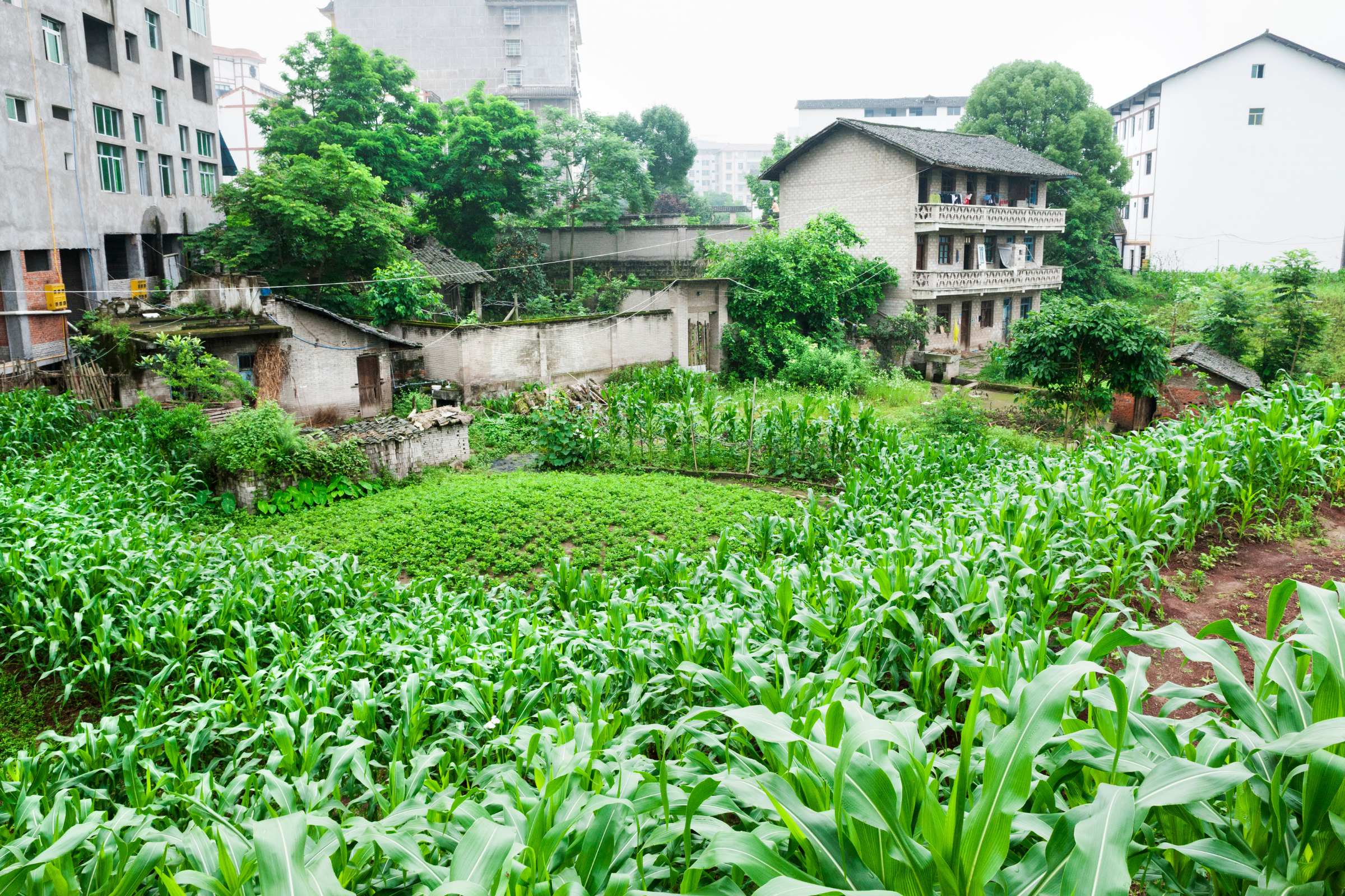 119 shibaozhai.webp